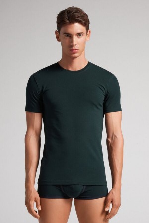 Dark Green Intimissimi Stretch Superior Cotton Men T-Shirt | 4invHBec