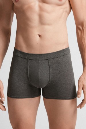 Deep Grey Intimissimi Natural Fresh Cotton Men Boxer | Qf27fUhR