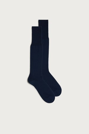 Light Grey Blue Intimissimi Tall Sateen Egyptian Cotton Men Socks | CYWXtAgb