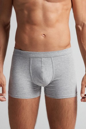 Light Grey Intimissimi Superior Cotton Men Boxer | 62IN4mp9