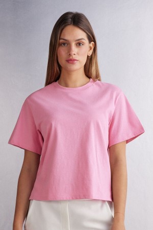 Pink Intimissimi Boxy Fit Cotton Women Short Sleeve | hpAzSAsf