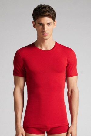 Red Intimissimi Stretch Superior Cotton Men T-Shirt | CBiKnifU