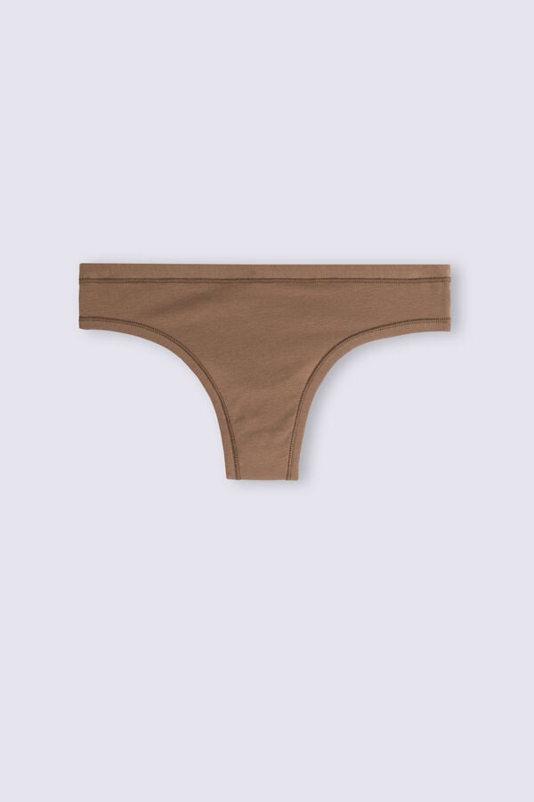 Dark Beige Intimissimi Ultralight Cottonzilian Women Briefs | IXmSzFpN