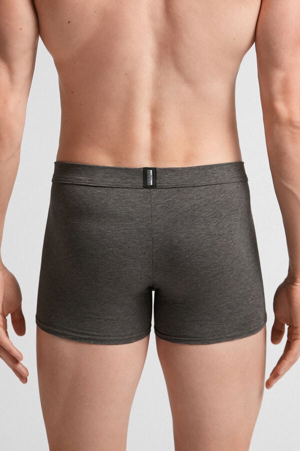 Deep Grey Intimissimi Natural Fresh Cotton Men Boxer | Qf27fUhR