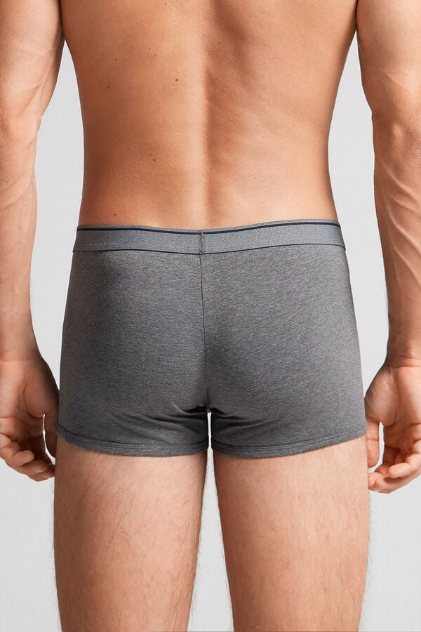 Deep Grey / Blue Intimissimi Superior Cotton With Exposed Elastic Men Boxer | SvfS207W