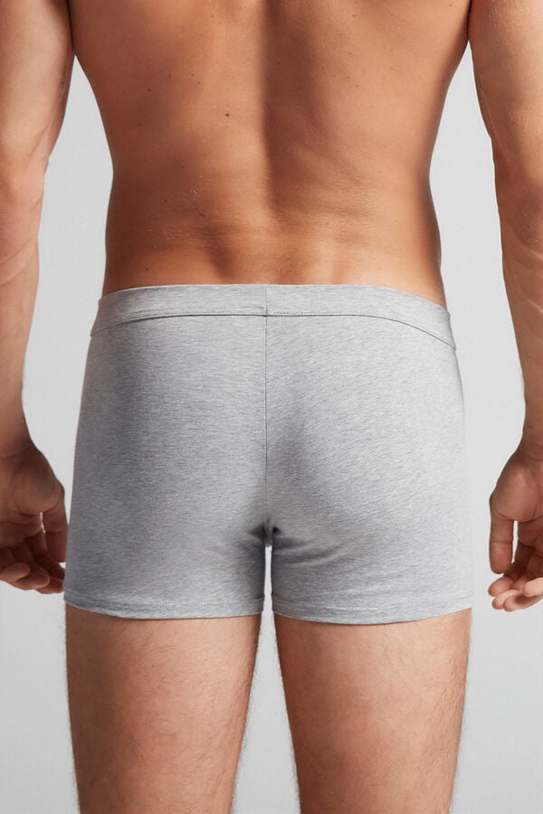 Light Grey Intimissimi Superior Cotton Men Boxer | 62IN4mp9