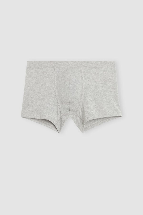 Light Grey Intimissimi Superior Cotton Men Boxer | 62IN4mp9