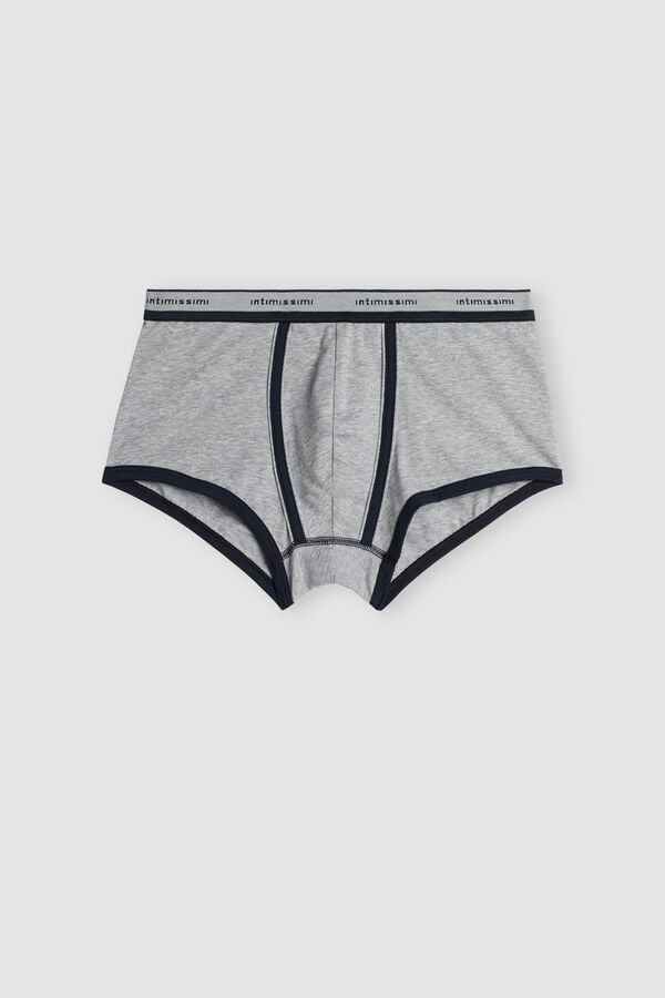 Light Grey / Blue Intimissimi Superior Cotton With Logo Men Boxer | WmKRGDNi